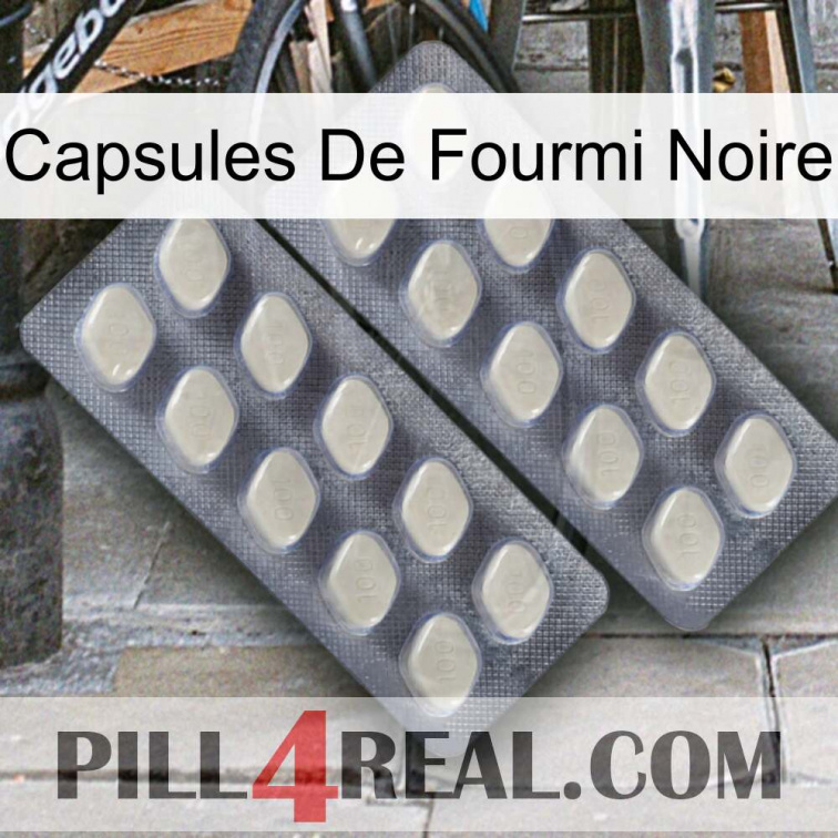 Black Ant Capsules 07